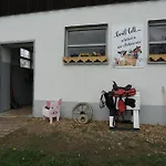 Feriengut Zum Fürst`n Mit Außenwhirlpool Und Sauna * Eppenschlag