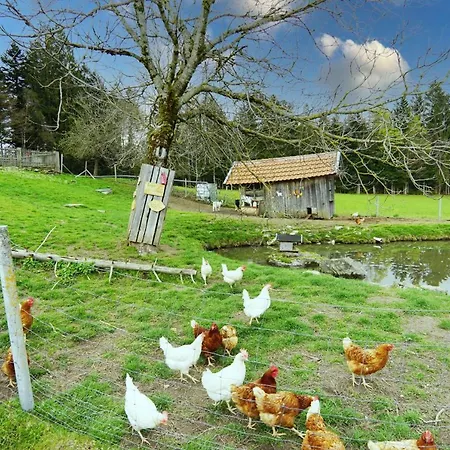 Feriengut Zum Fuerst'n